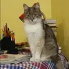 Отзыв от Анастасия Борисова